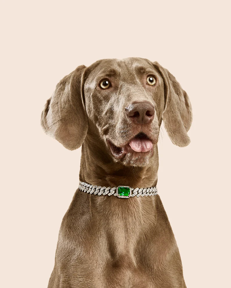 Emerald Chain Choker For Dog