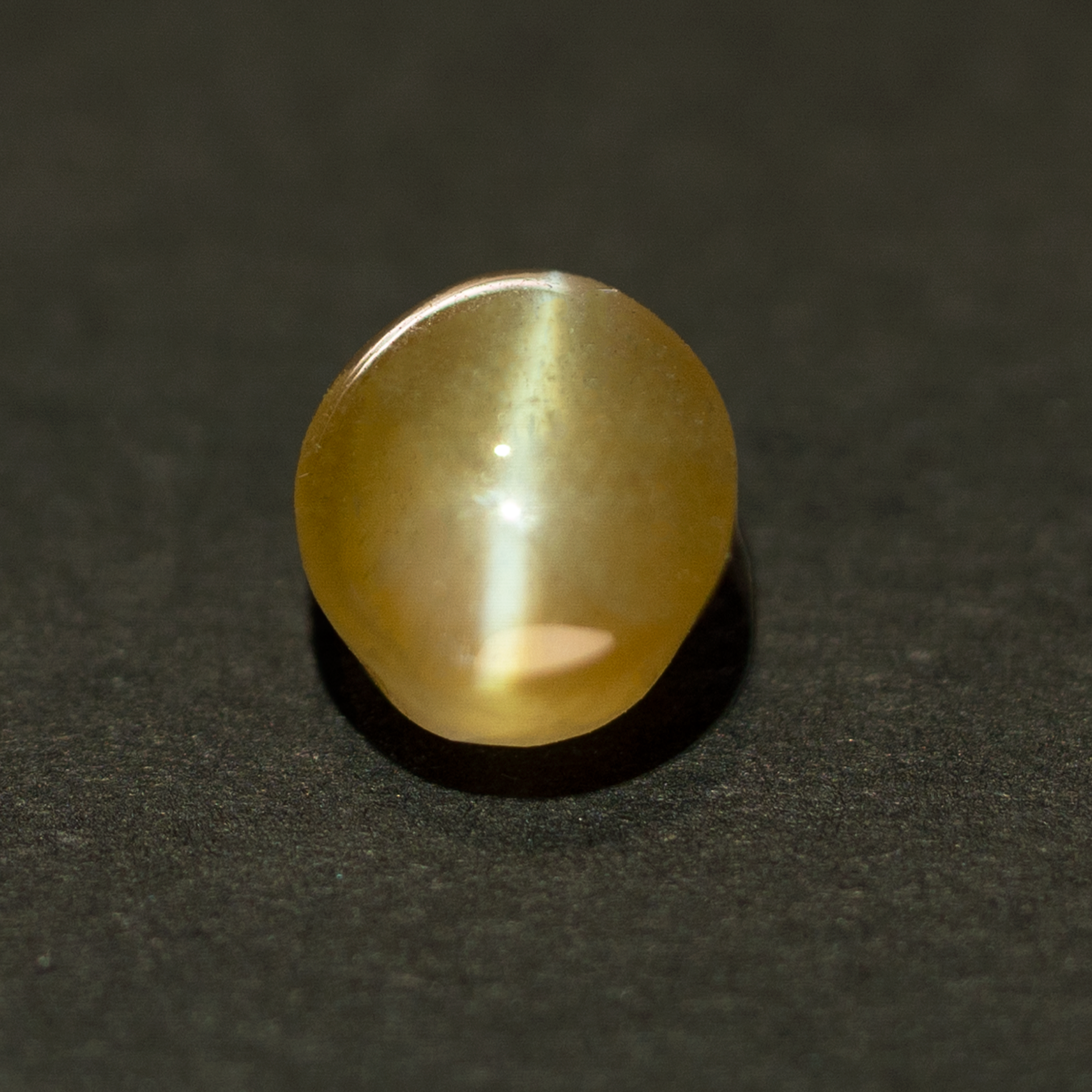 Round Natural Chrysoberyl Honey Color Cat's Eye Stone 1.59 CT