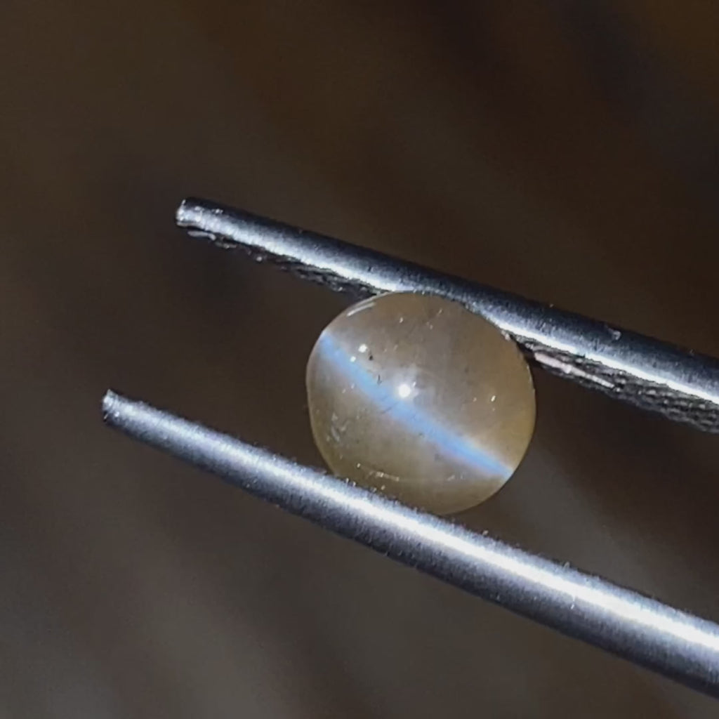 Round Natural Chrysoberyl Honey Color Cat's Eye Stone 1.59 CT