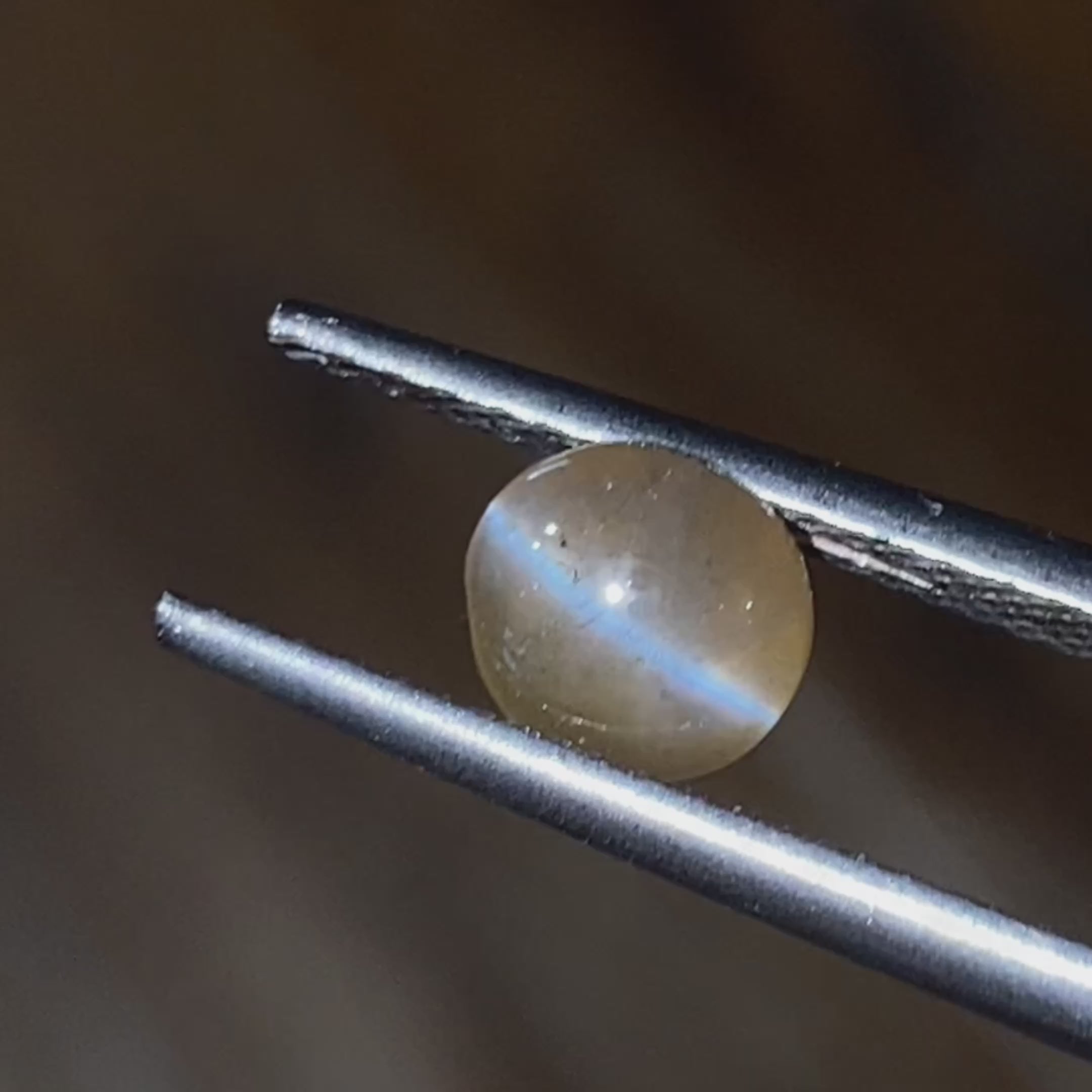 Round Natural Chrysoberyl Honey Color Cat's Eye Stone 1.59 CT