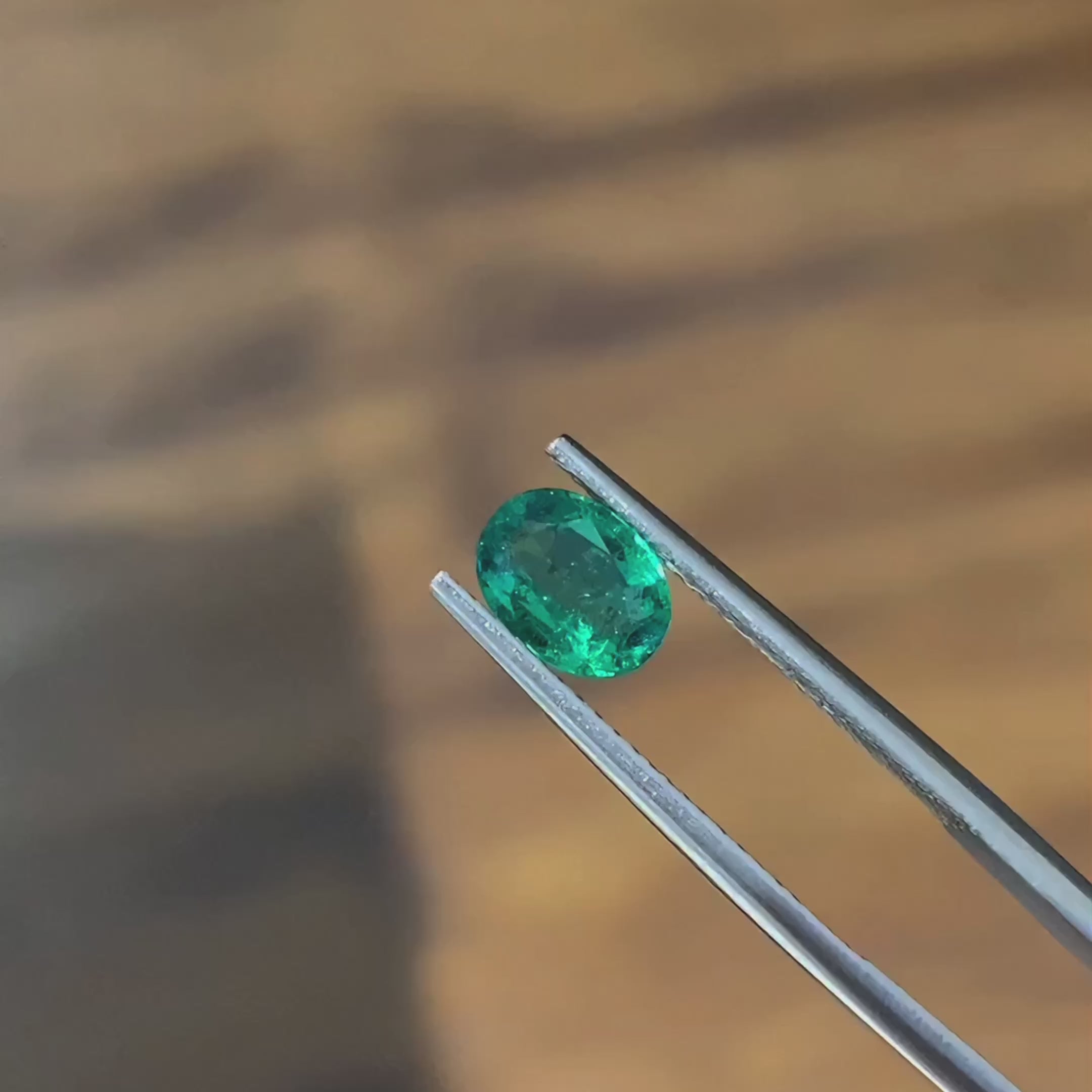 Oval Natural Colored Emerald Vivid Green 0.76 CT